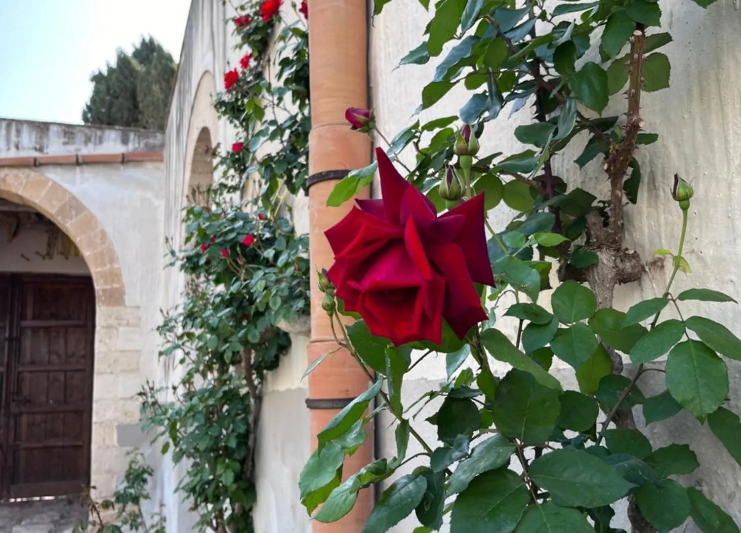 Baglio Fontanasalsa Villa Paceco Italy
